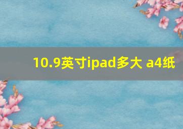 10.9英寸ipad多大 a4纸